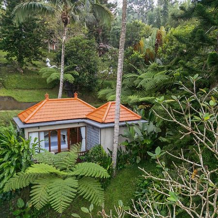 Tjendana Kanaka Jungle Resort Ubud Zewnętrze zdjęcie